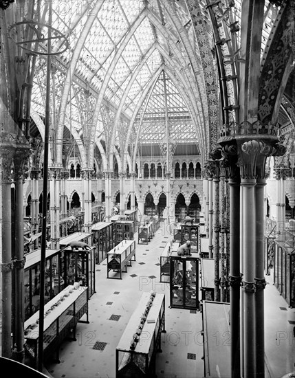 University Museum, Parks Road, Oxford, Oxfordshire, c1860-c1922