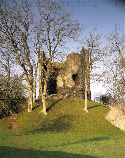 The keep with trees, Longtown Castle, Herefordshire, 1992