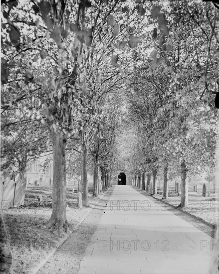 An avenue of lime trees leading to Holy Trinity Church, Stratford-upon-Avon, c1860-c1922