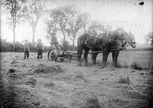 A horse drawn cross-cut mower in action near Hellidon, Northamptonshire, c1873-c1923