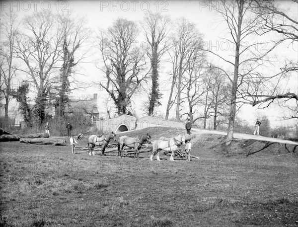 Men and horses, Godstow Bridge, Oxford, Oxfordshire, 1880