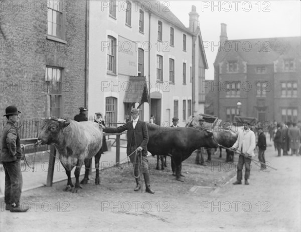 Salutation Inn, Faringdon, Oxfordshire, 1904