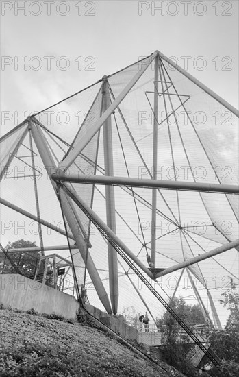 Northern Aviary, Zoological Gardens, Regent's Park, London, c1965