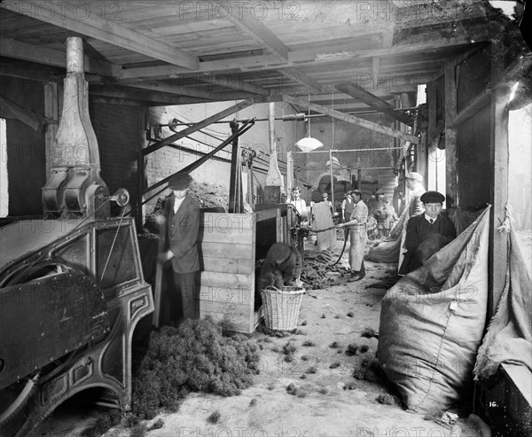 Hair stuffing, Hampton's Munitions Works, Lambeth, London, 1914-1918