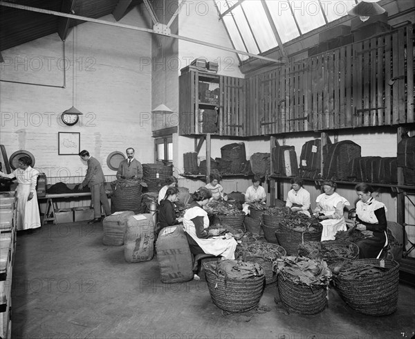 Teofani Cigarette Factory, Brixton, London, 1916