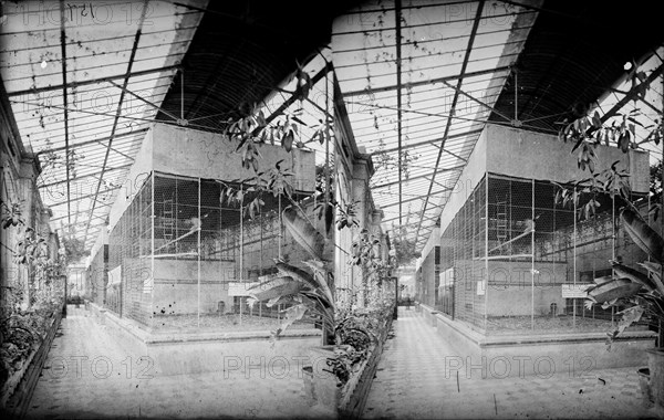 Monkey House, Zoological Gardens, Regent's Park, Westminster, London, c1870-1900