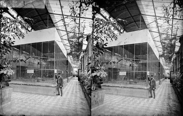 Monkey House, Zoological Gardens, Regent's Park, Westminster, London, c1870-1900