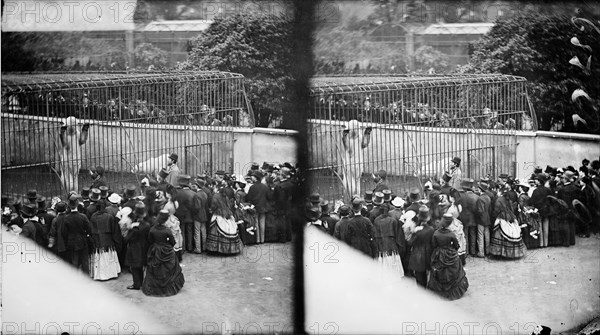 Zoological Gardens, Regent's Park, Westminster, London, c1870-1900