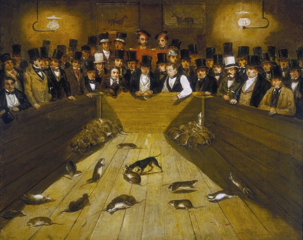 'Rat-Catching at the Blue Anchor Tavern, Bunhill Row, Finsbury', c1850. Artist: Unknown