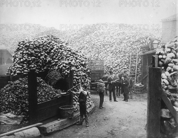 Coconut fibre works, Millwall, London, 1885. Artist: Unknown