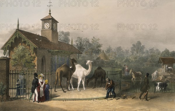 Zoological Gardens, Regent's Park, Marylebone, London, 1835. Artist: Unknown