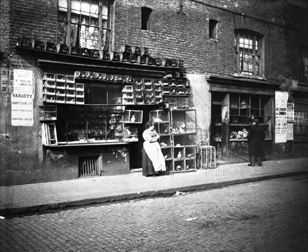 Sunday bird fair, Sclater Street, off Brick Lane, London, 1900s. Artist: John Galt