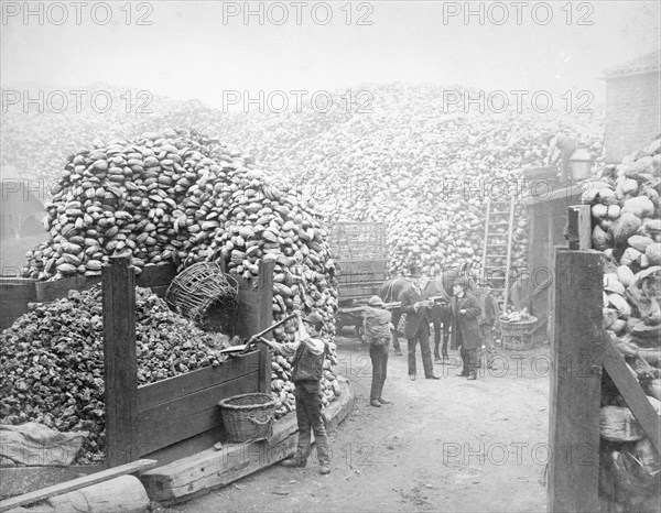 Coconut fibre works, Millwall, London, 1885. Artist: Unknown