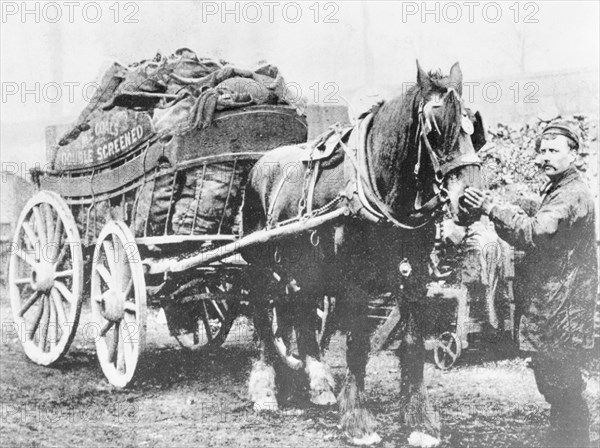 Charringtons coal delivery. Artist: Unknown