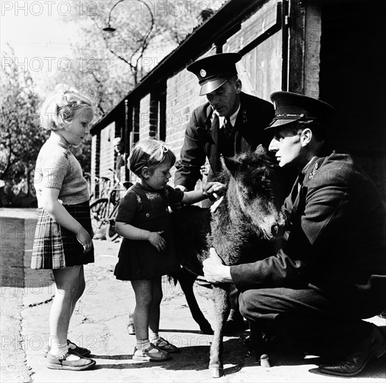 London Zoo, (1950s?). Artist: Henry Grant