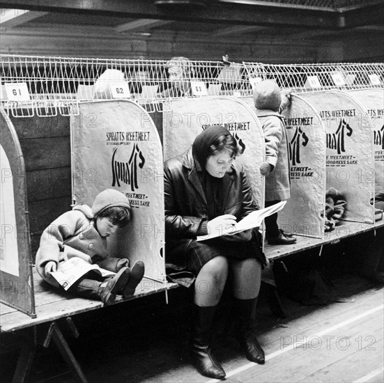 Woman and child at a London dog show, possibly Crufts, 1964. Artist: Henry Grant