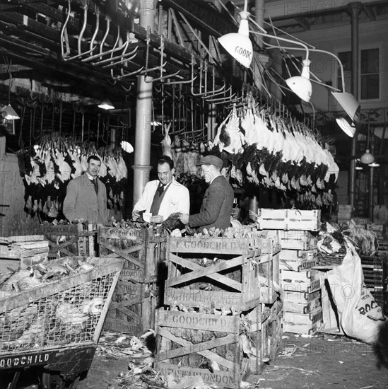 Christmas Turkeys, London, 1957. Artist: Henry Grant