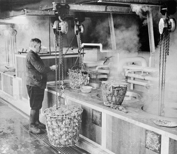 Billingsgate market, London, (c1930s?). Artist: Unknown