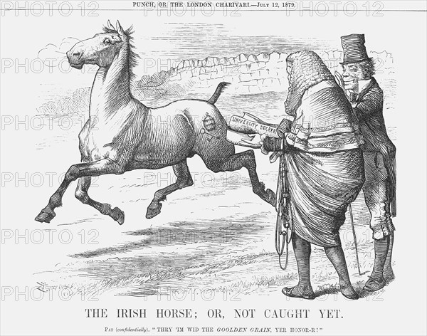 'The Irish Horse; or Not Caught Yet', 1879. Artist: Joseph Swain