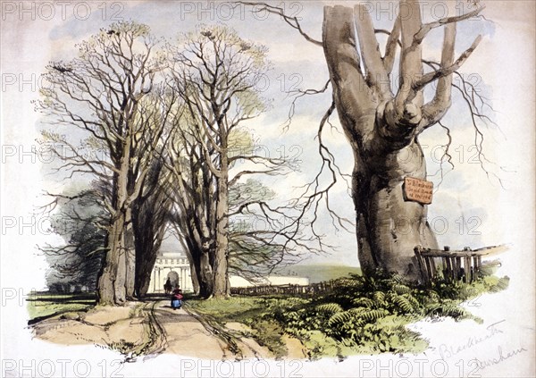 Blackheath, Greenwich, London, c1835. Artist: Anon