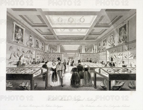 The Zoological Gallery, British Museum, Holborn, London, c1850. Artist: William Radclyffe