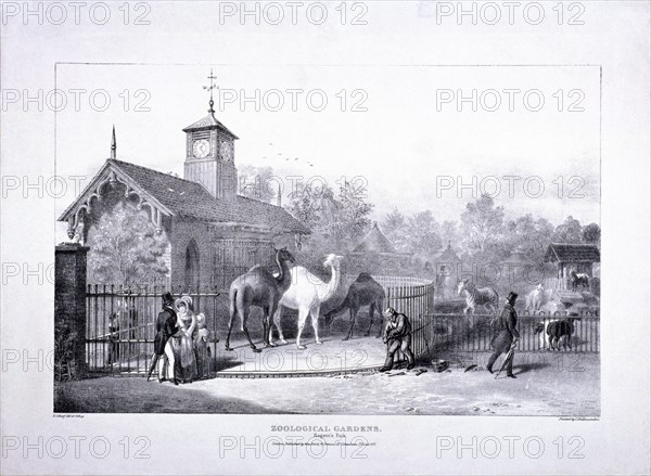 Zoological Gardens, Regent's Park, Marylebone, London, 1835. Artist: George Scharf