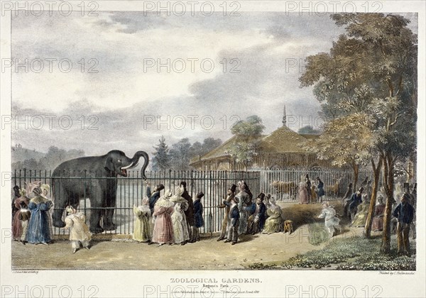 Zoological Gardens, Regent's Park, London, 1835. Artist: George Scharf