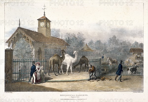 Zoological Gardens, Regent's Park, London, 1835. Artist: Charles Joseph Hullmandel