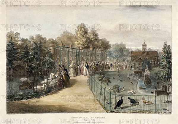 Zoological Gardens, Regent's Park, London, 1835. Artist: George Scharf
