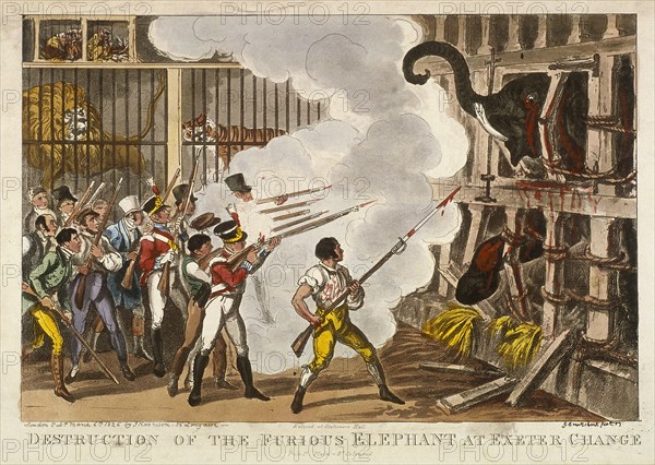 'Destruction of the furious elephant at Exeter Change', 1826. Artist: George Cruikshank