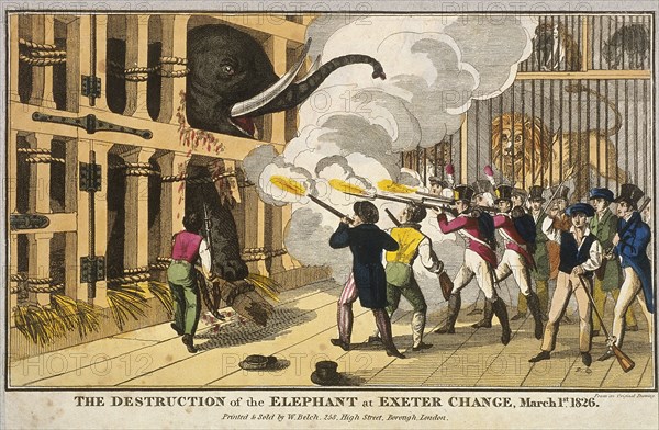 'Destruction of the furious elephant at Exeter Change', 1826. Artist: Anon