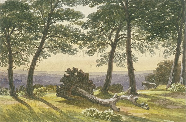 Hampstead Heath, London, c1830. Artist: J Powell