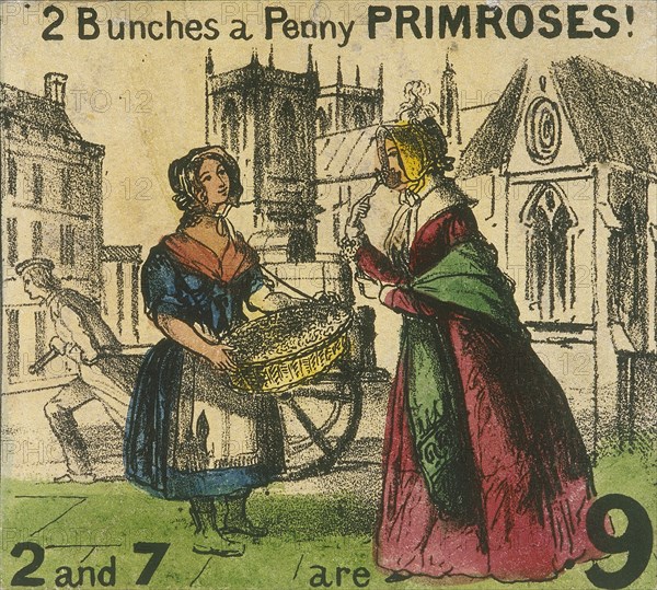 '2 Bunches a Penny Primroses!', Cries of London, c1840. Artist: TH Jones