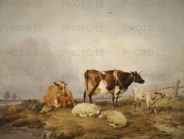'Landscape and Cattle', c1823-1902. Artist: Thomas Sidney Cooper