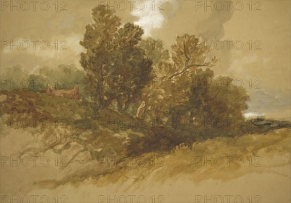 Wraysbury, Buckinghamshire', 1872. Artist: Sir John Gilbert