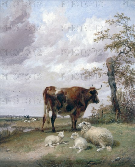 Canterbury Meadows', 19th century. Artist: Thomas Sidney Cooper