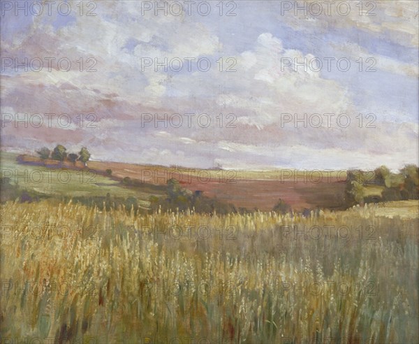 The Cornfield', c1864-1930. Artist: Anna Lea Merritt