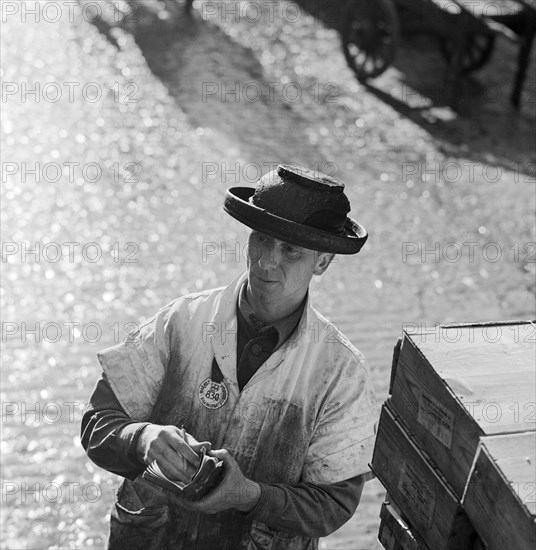 An informal portrait of a porter at Billingsgate Fish Market, City of London, c1946-c1959 Artist