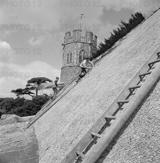 Thatchers at work on the roof of St Peter's Church, Theberton, Suffolk, 1956 Artist