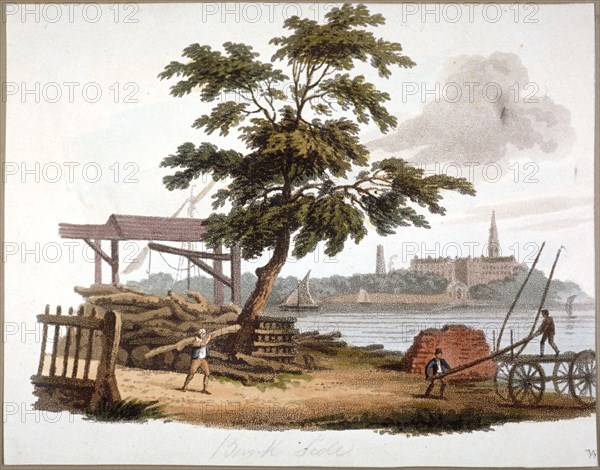 Men moving timber at Bankside, Southwark, London, c1810. Artist: William Pickett