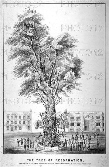 'The Tree of Reformation', 1853. Artist: Anon