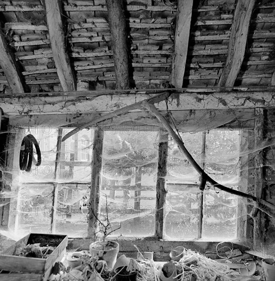 The barn at Brown's Farm, Milkingpen Lane, Old Basing, Hampshire, 1978-1980. Creator: John Gay.