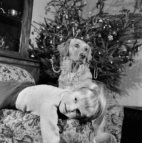 Child, dog and Christmas tree, December 1960
