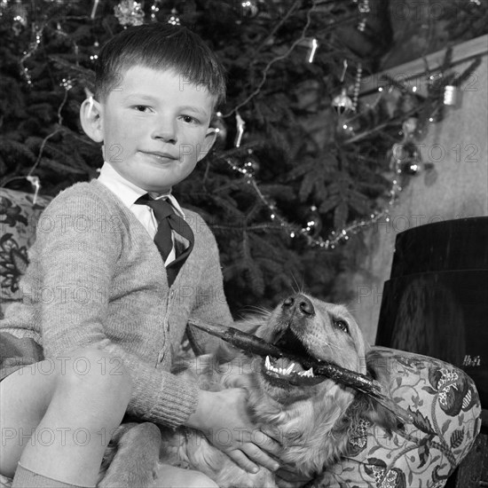 Child, dog and Christmas tree, December 1960