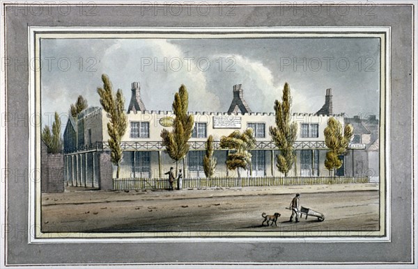 McDonald's Infirmary, County Terrace Street, off New Kent Road, Southwark, London, c1825. Artist: Anon