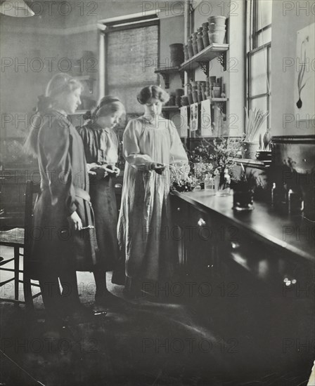 Botany lesson, Chelsea Secondary School (Hortensia Road School), London, 1911. Artist: Unknown.