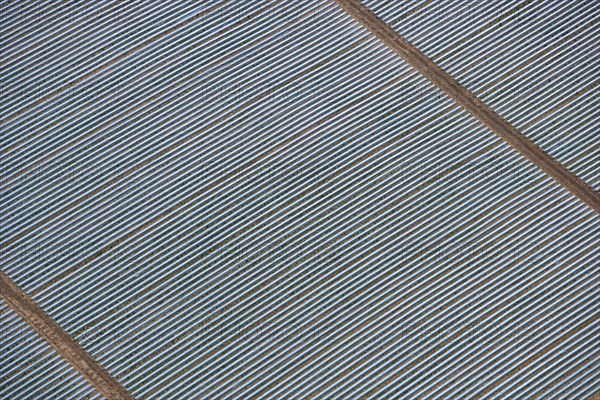 Polytunnels at Wood Bevington Farm, Salford Priors, Warwickshire, 2007