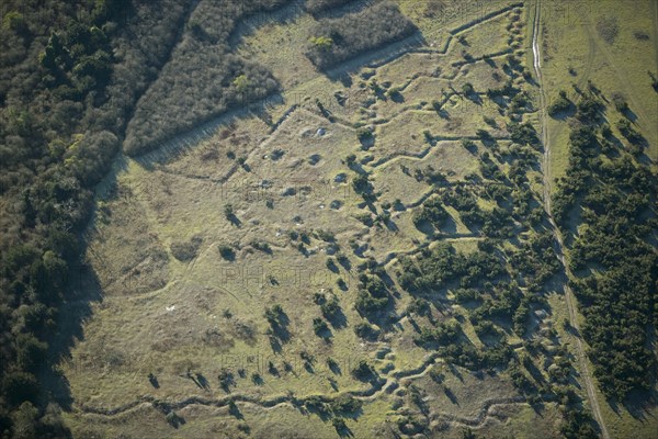 World War I practice trenches, Beacon Hill, near Bulford, Salisbury Plain, Wiltshire, 2007