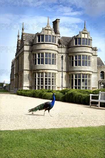 Kirby Hall, near Corby, Northamptonshire, 2008