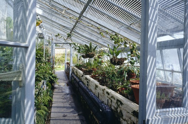 Darwin's greenhouse, Down House, Downe, London